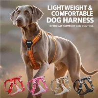 Ceev Tso Neck Harness