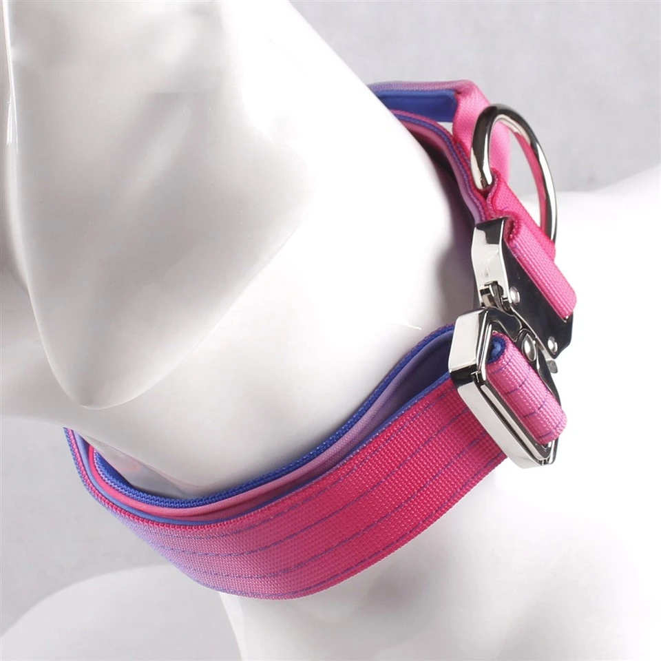 Fashion Dog Collar best