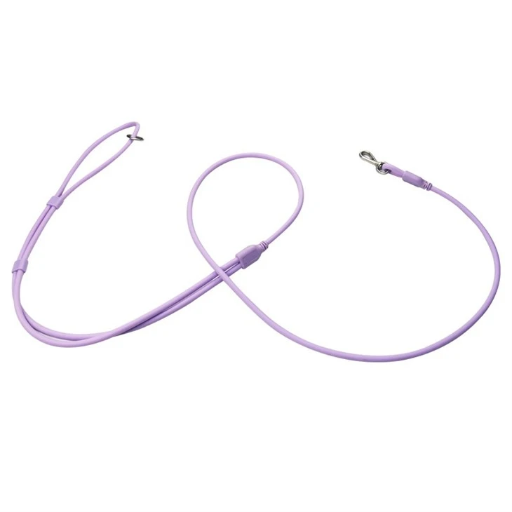 Hands Free Leash