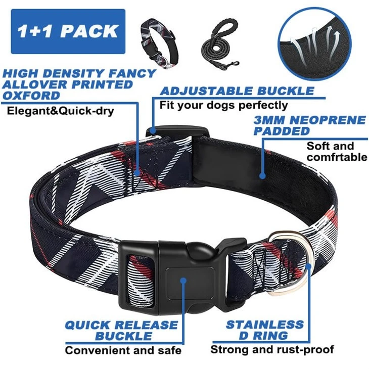 Puppy Leash And Collar Set
