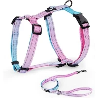 Cute Dog Leash And Harness Cute Dog Leash And Harness