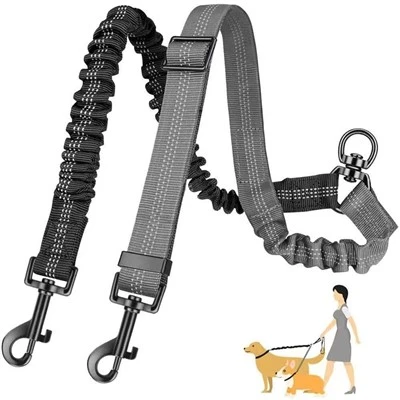 Shock -absorbing Dog Leash
